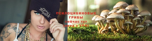 ешки Богородицк