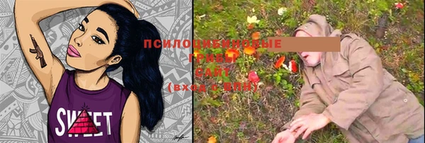 мяу мяу мука Балабаново