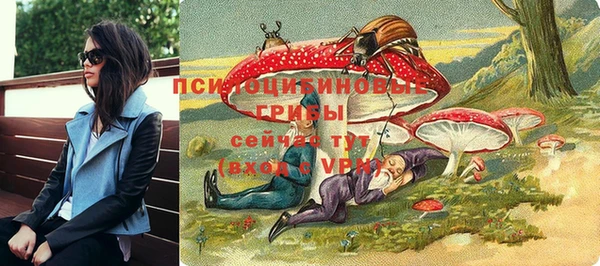 соль курить ск Богданович